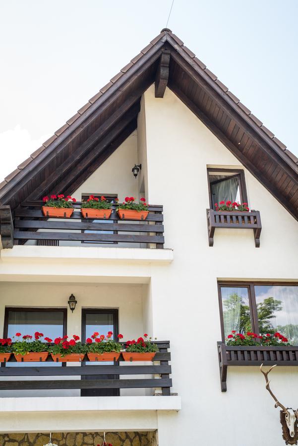 Bran Hotel 3*