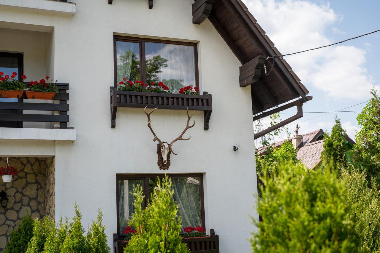 Hotel Bran Bran (Brasov)
